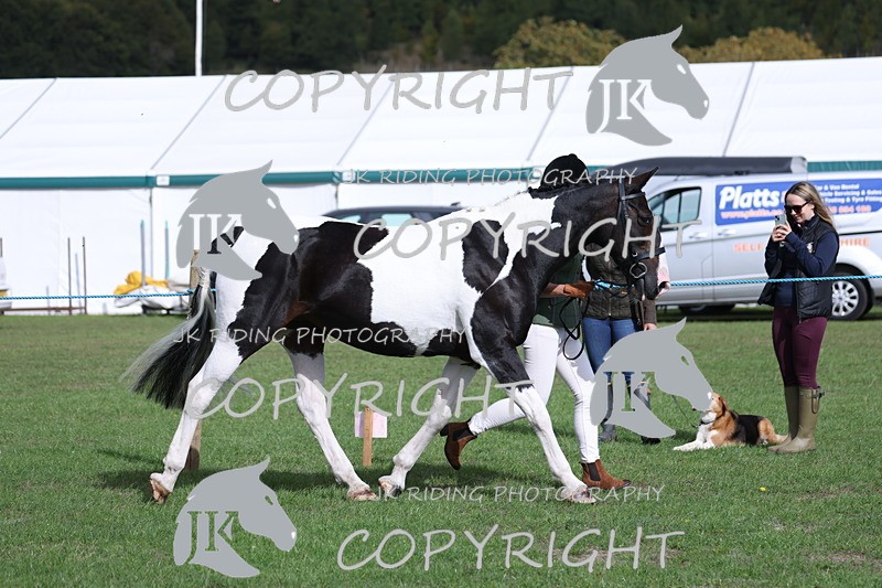 APP_2602 - Class 9 Veterans in hand