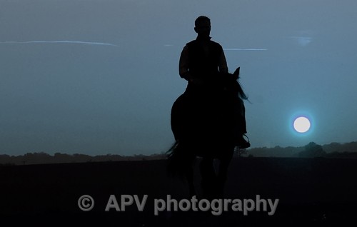 Night Rider... - Horses'n'Ponies