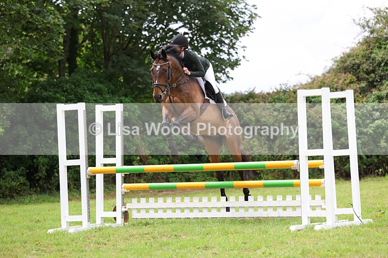 3E7A7291 - Class 5: Senior British Novice/90cm open