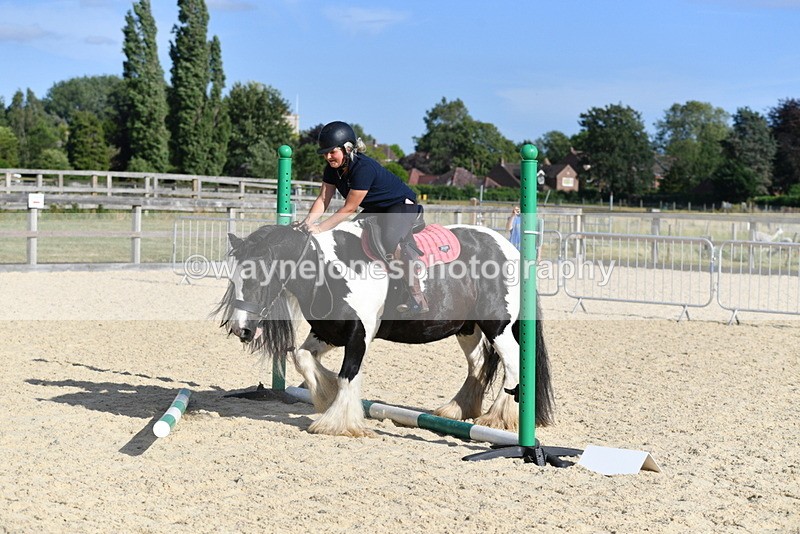 WJ5_5919 - Poles off the floor