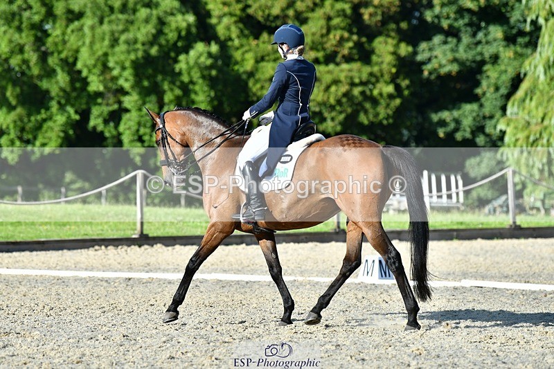 230623-182023-03229 - Cls 11 FEI PSG