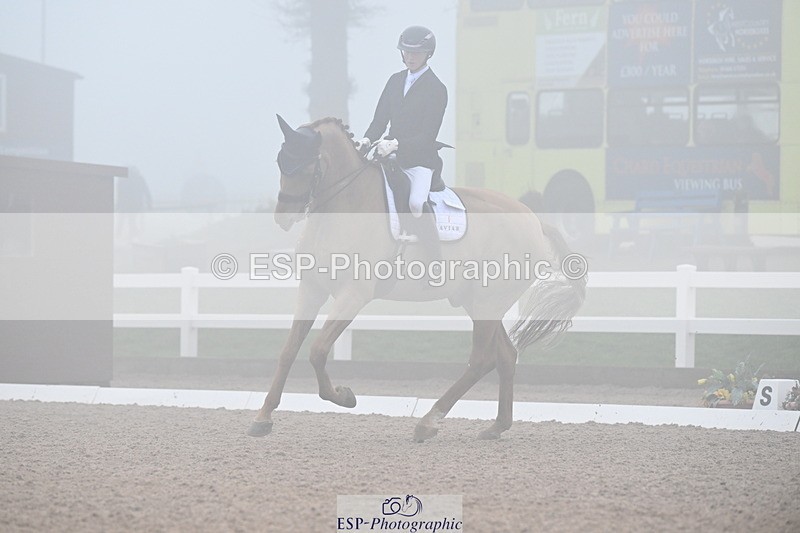 240217A-131421-02781 - 271-Tom.Carter-Rubin.Regal