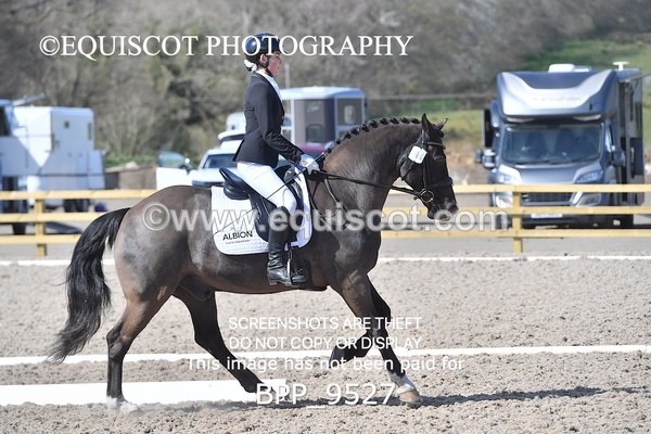 BPP_9527 - NOVICE 6