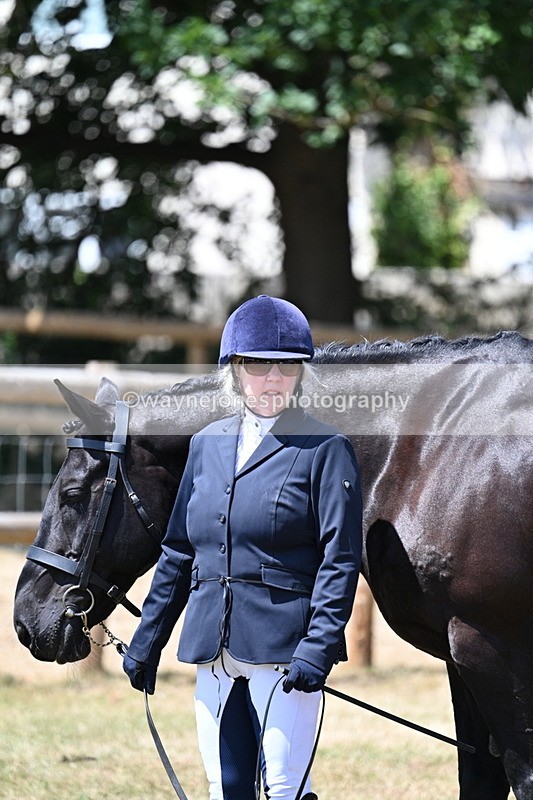 WJ7_2383 - Class 5a Most Handsome Gelding in hand (above 14.2hh)