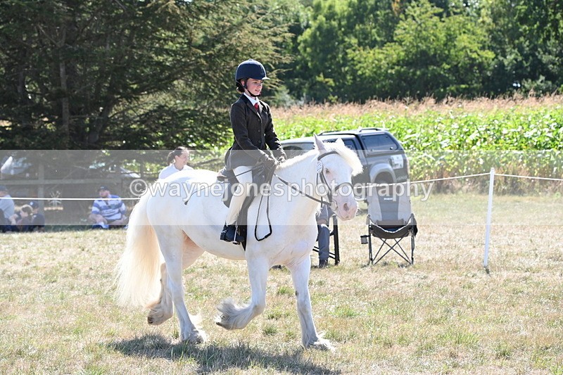 WJ6_8981 - Class 38 Ridden Riding Horse/Pony