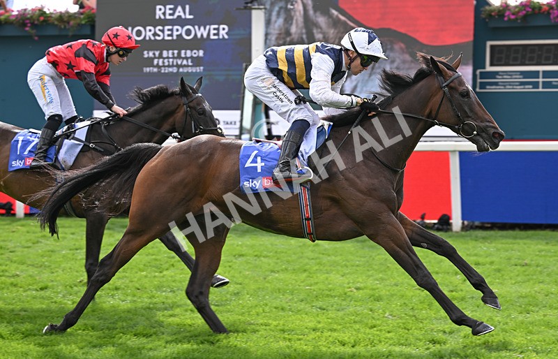 190826-194 Small Fry - Race 5 16.10pm Sky Bet Stayers Handicap