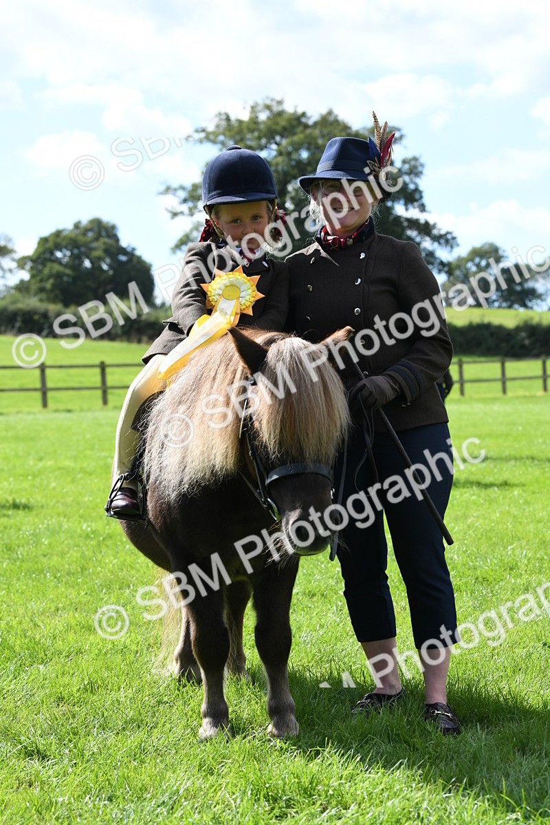 SBM_42648 - S20 - Lead Rein Mountain & Moorland Pony
