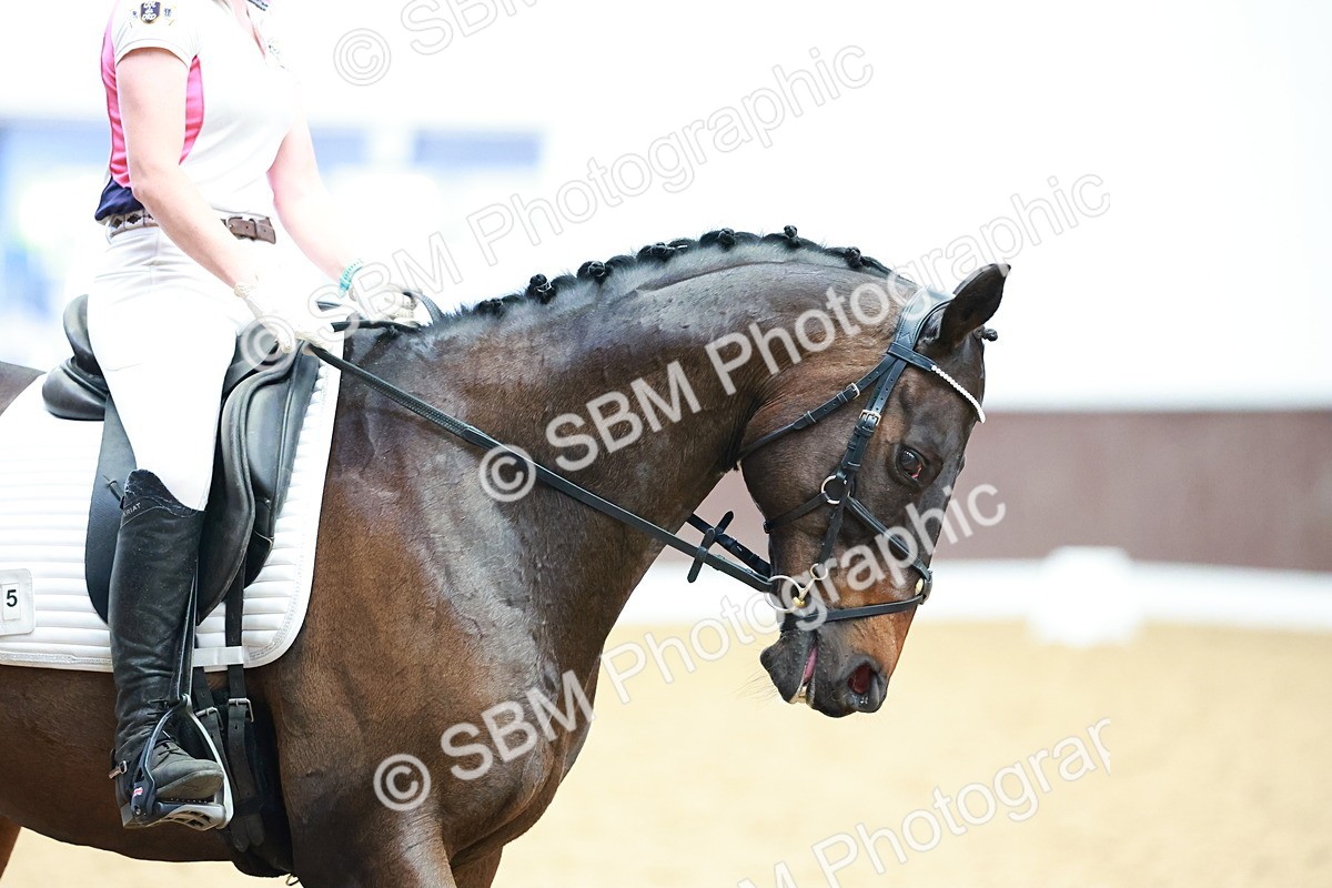 SBM_010488