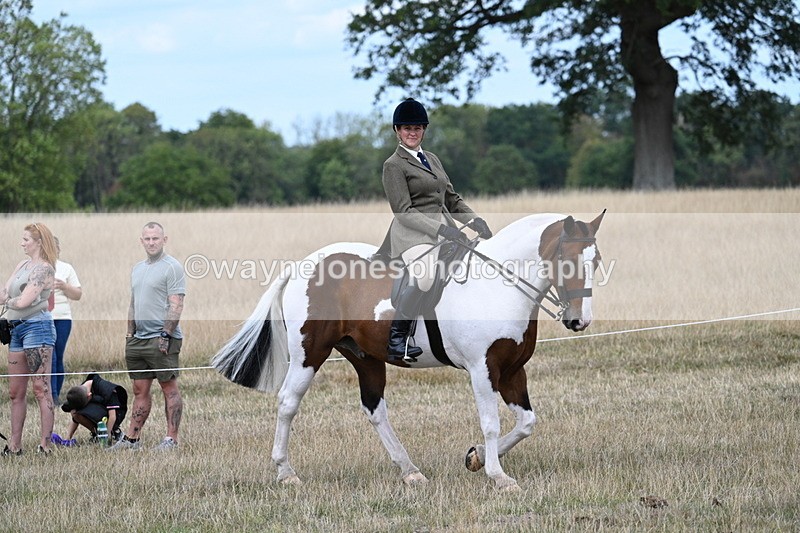 WJ7_5394 - Class 12 Ridden Cob