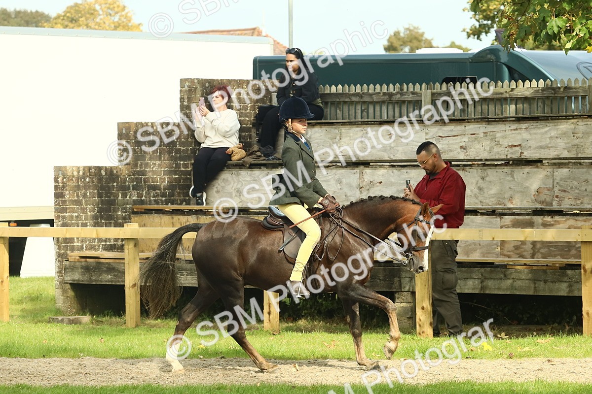 SBM_69033 - S58 - Mini Show Cob Ridden