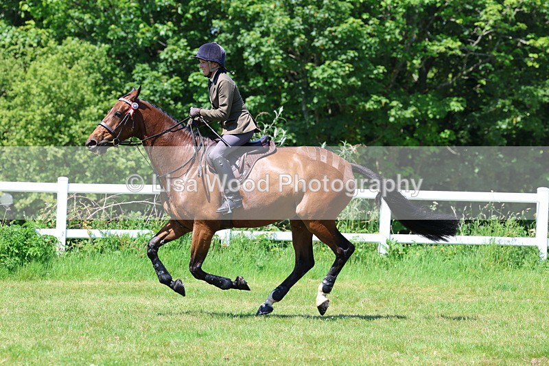 3E7A7471 - Class 31: Working Hunter Cob/Riding Horse