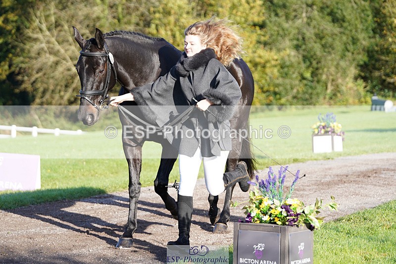 241026-100936-11657 - 002-Ellie.Fredericks-BRITANNIA'S.OLIVE