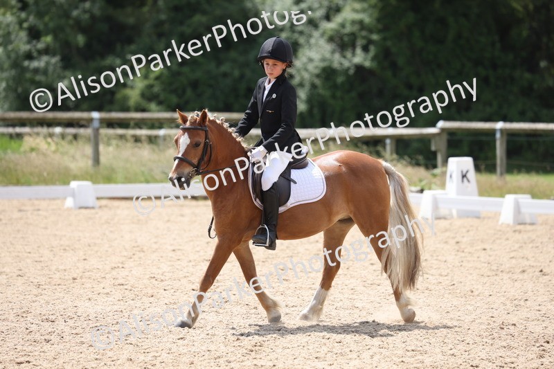 20250614-0607 - Class 5 - Novice 3