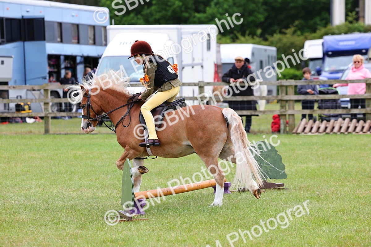 SBM_08740 - Class 42-43 - LIHS BSPS Heritage Working Sports Pony