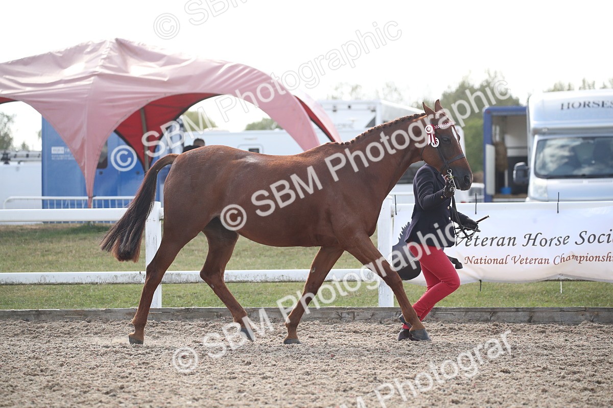 SBM_23115 - Class 606 - 2026 - Area - IH Pre Vet