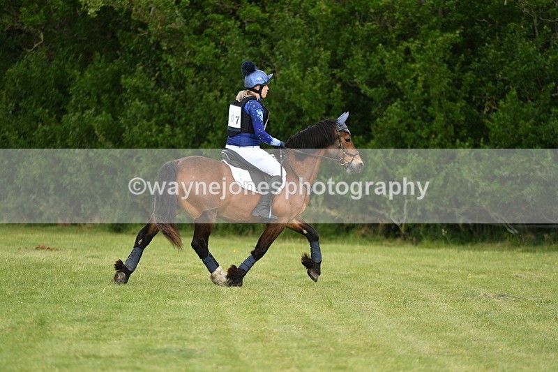 WJ5_2419 - Class 2 40cm