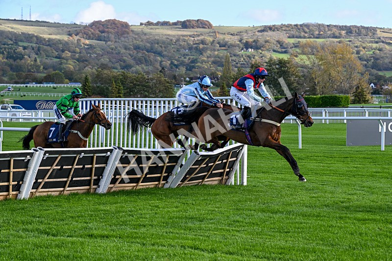 241025-Race 1-Whatsupwithyou-2081 - Race 1