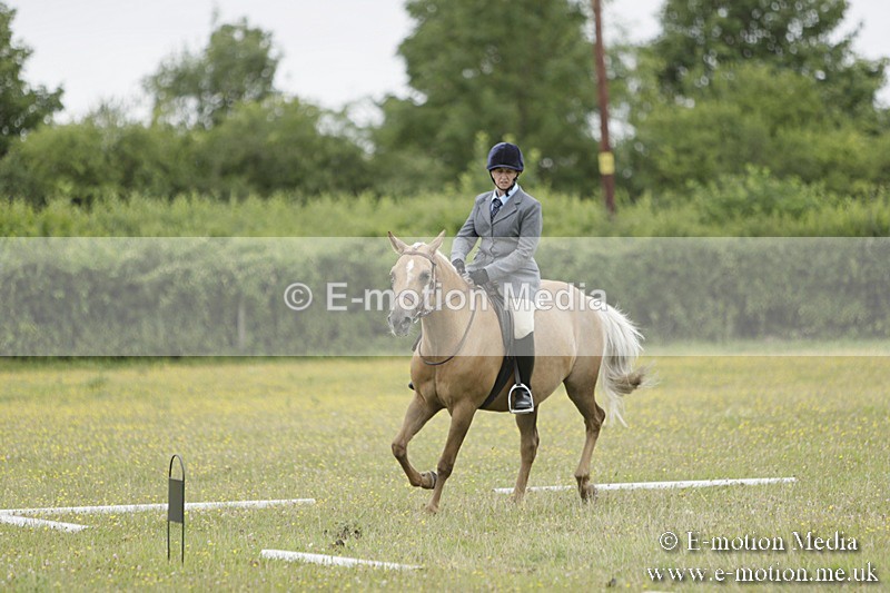 BVR160717-1198 - Class 2 Dressage 16/07/17