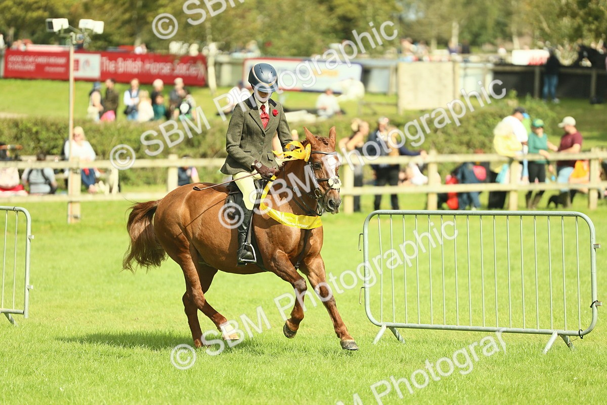 SBM_44829 - S31 - Working Hunter Pony