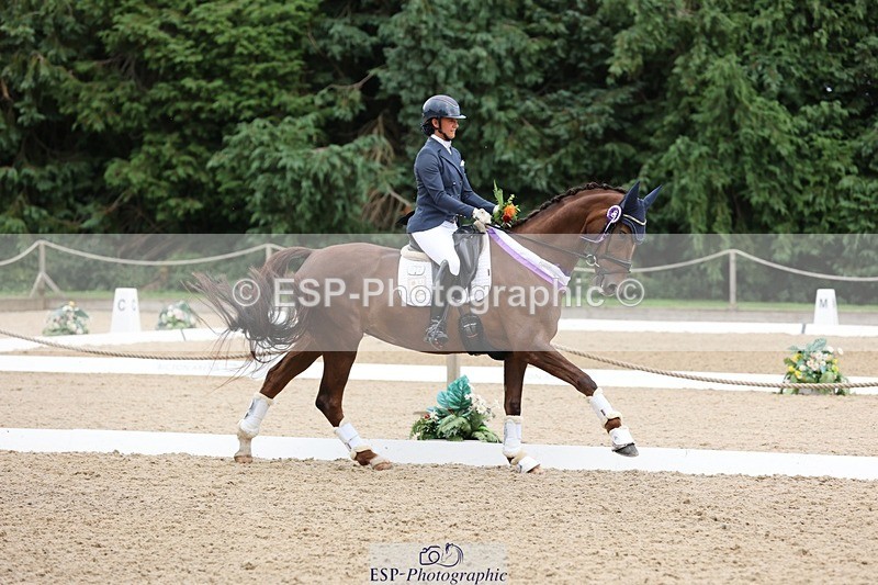 240810-170443-04522 - Elementary Silver