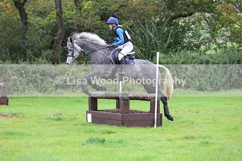 JPP_5391 - Class 4: 80cm: Crossed Logs