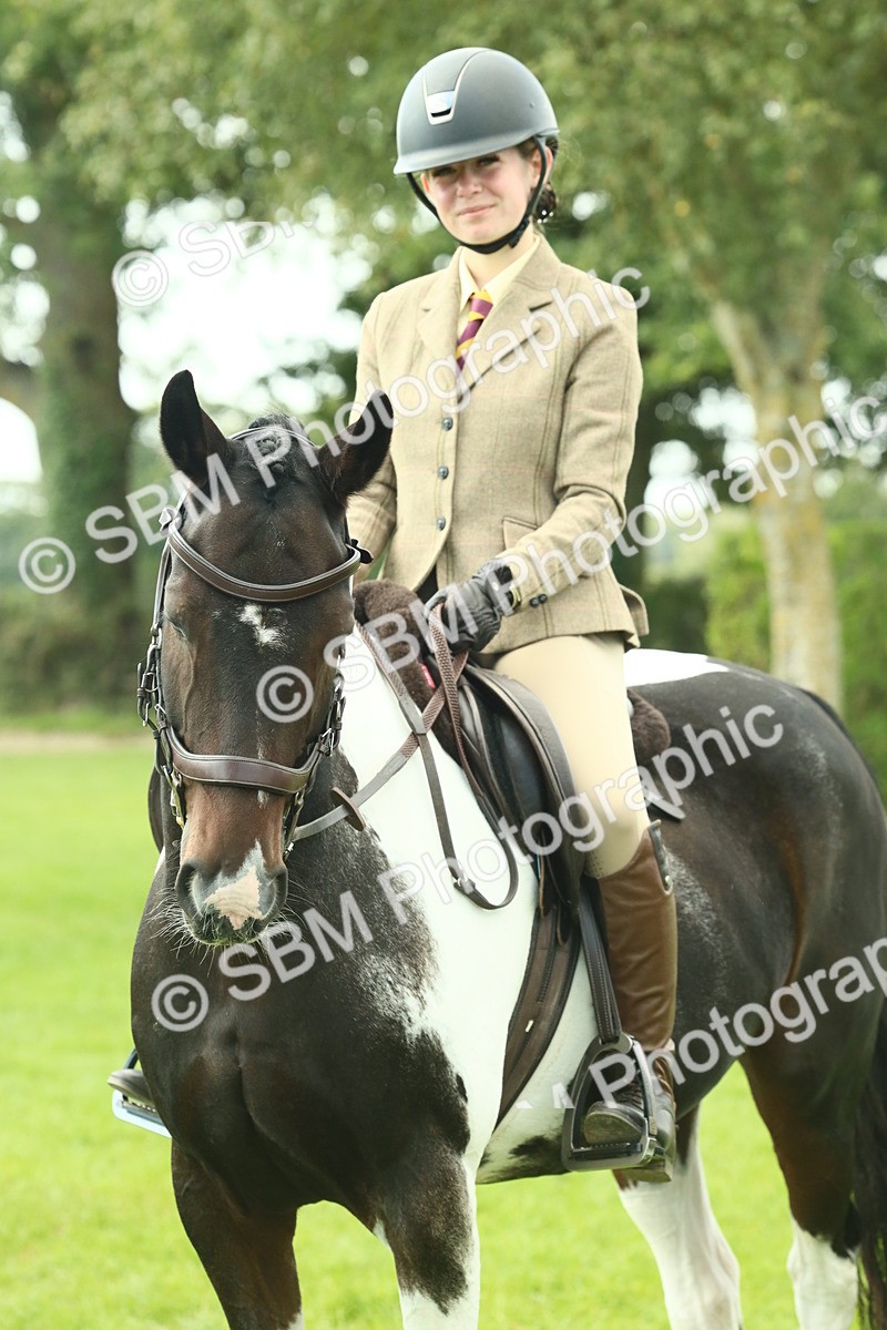 SBM_66457 - S34 - Rehabilitated Rescue Horse & Pony In Hand & Ridden