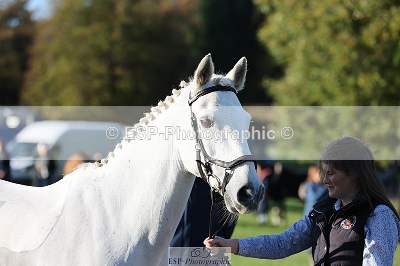 241027-091822-15199 - 456-Jessica.Saunders-RATHLEE.OG