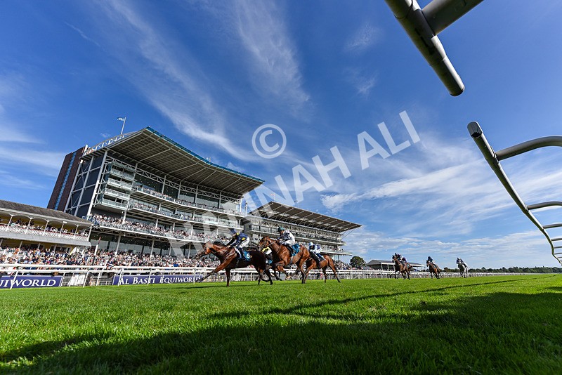 060926-Race 5-Extremely Zain-2 - Race 5 3.50pm Starman At Tally Ho Stud Garrowby Stakes