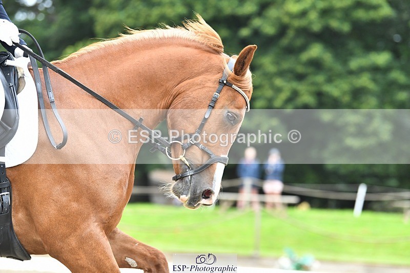 230812-092000-02769 - Cls 6 Novice Silver Start to 10.20 break