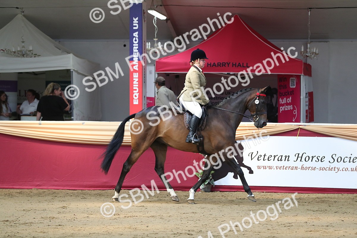 SBM_02964 - Class 6a Area Ridden Pre Vet