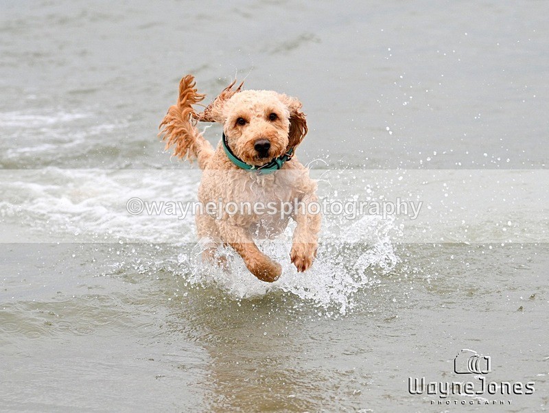 WJ7_9873 - Hayling Island Beach Shoot 22-09-24