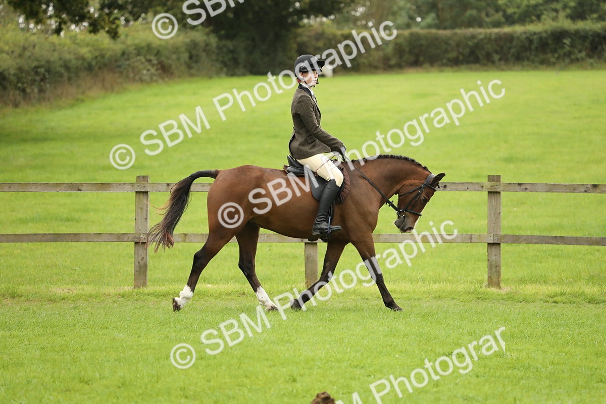 SBM_73691 - S41 - Ridden Equitation (Best Rider)