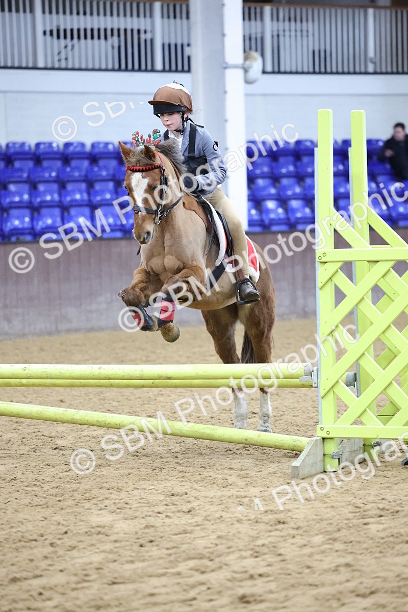 SBM_001093 - Class 3 - Christmas Tree Stakes - 60cm