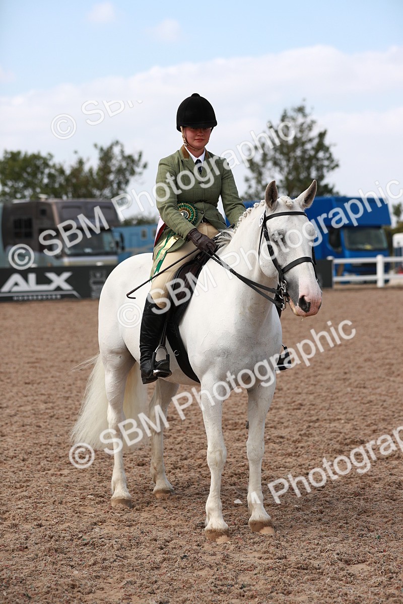 SBM_14928 - Class 212 Ridden Hunter - Small