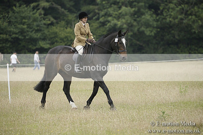 B230619-0321 - Bourne Valley Riding Club Summer Show 23/06/19