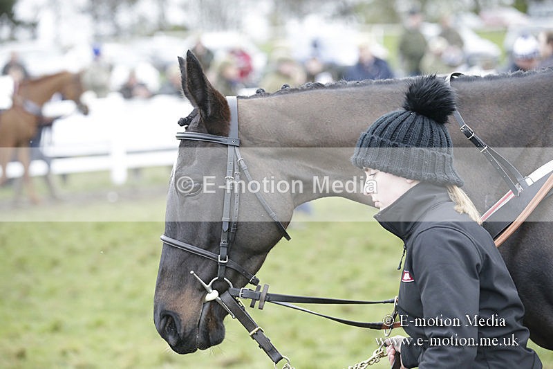 PtP 150320 0547 - New Forest Point-to-Point Larkhill 15/03/20