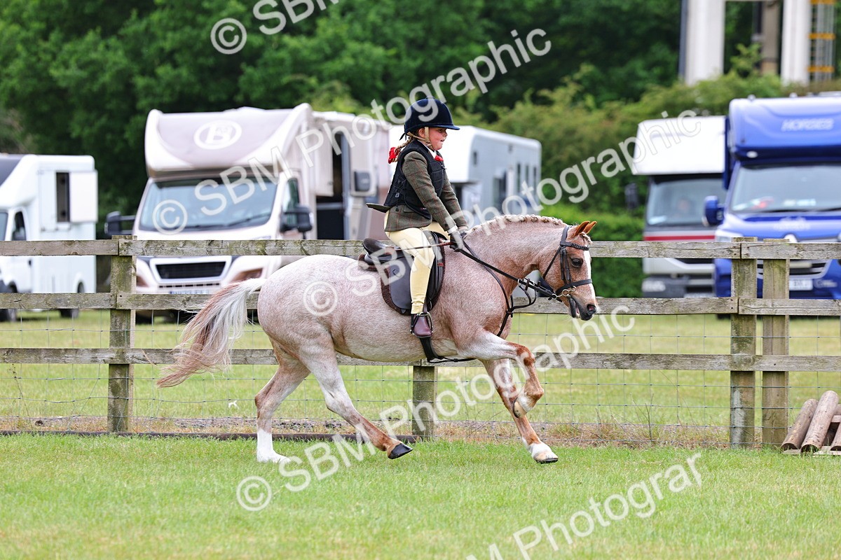 SBM_09692 - Class 44-45 - LIHS BSPS Open Nursery and Cradle Stakes