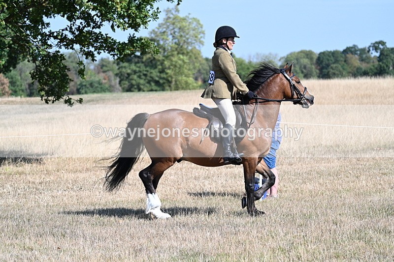 WJ7_3745 - Class 9 Mountain & Moorland Ridden