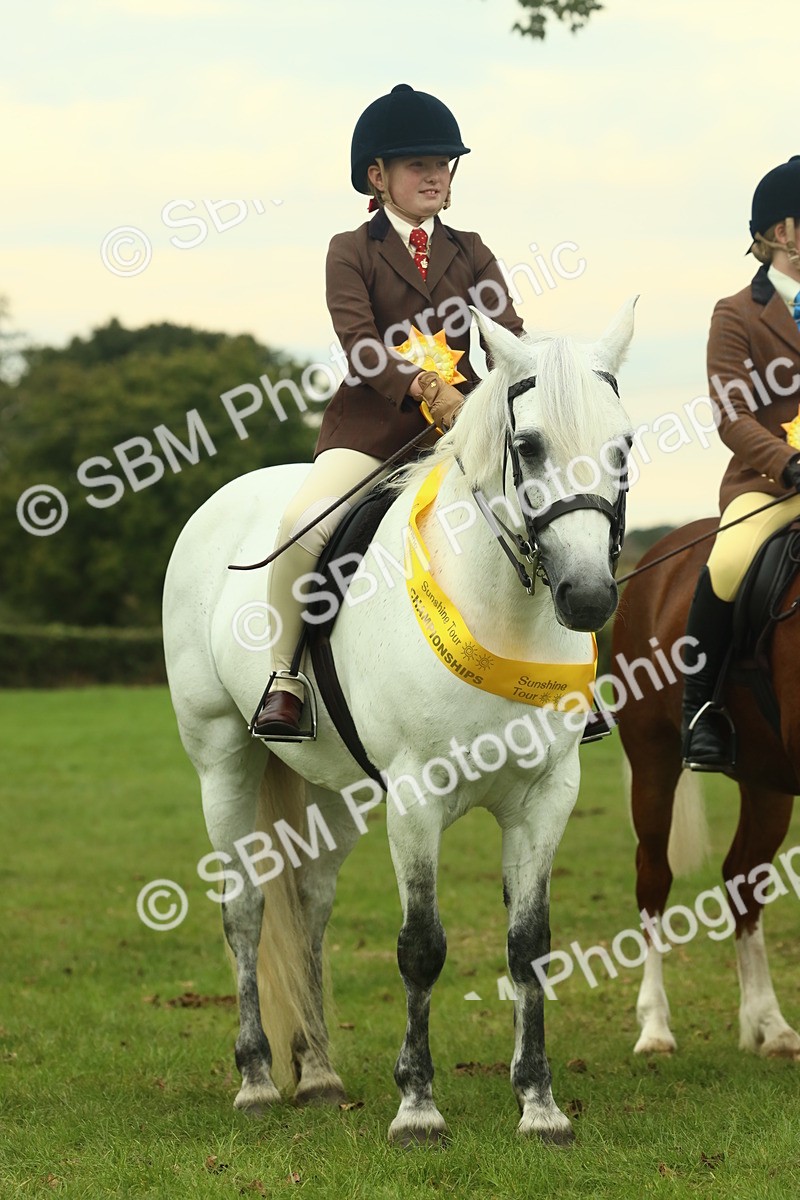 SBM_72313 - S60 - Mountain & Moorland Ridden Large Breeds