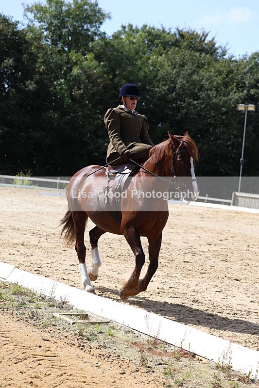 3E7A3584 - Class 7:  Preliminary Music