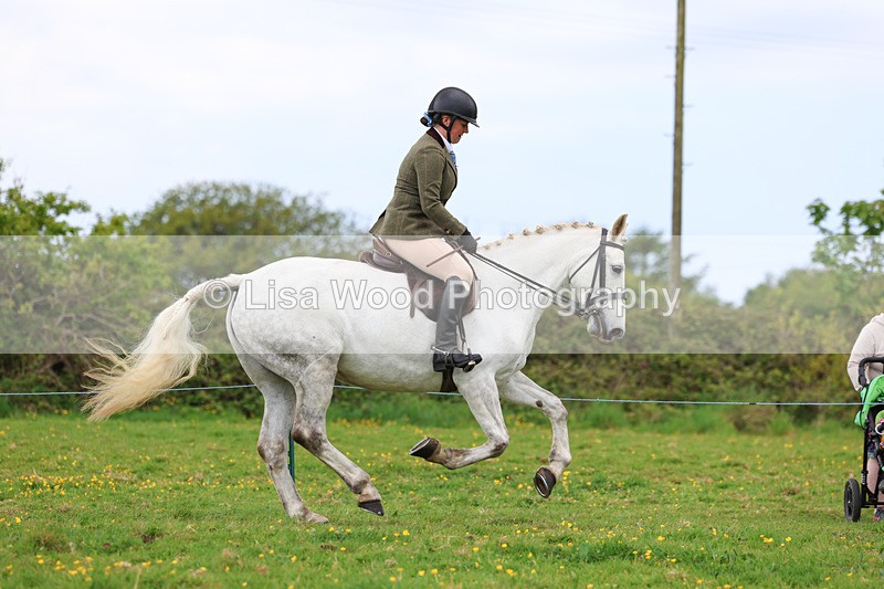 3E7A1190 - Class 7: Ridden Hunter Type