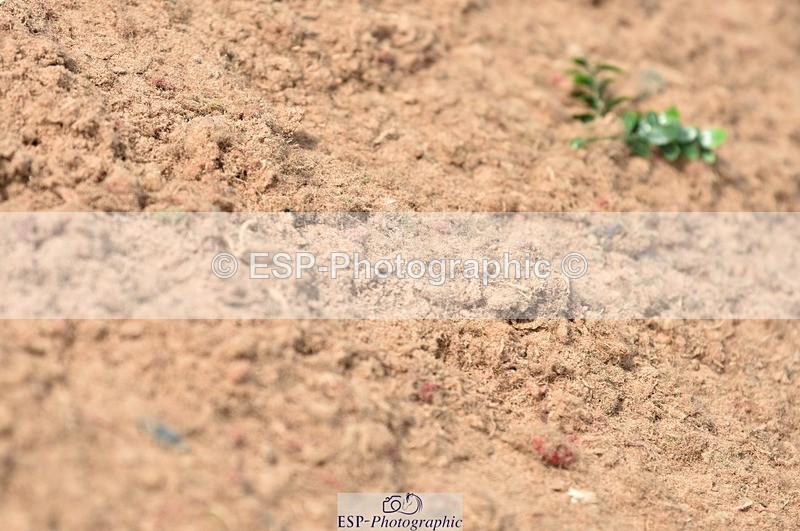 230810A-101248-00241 - Cls 8 British Novice & 90cm Open