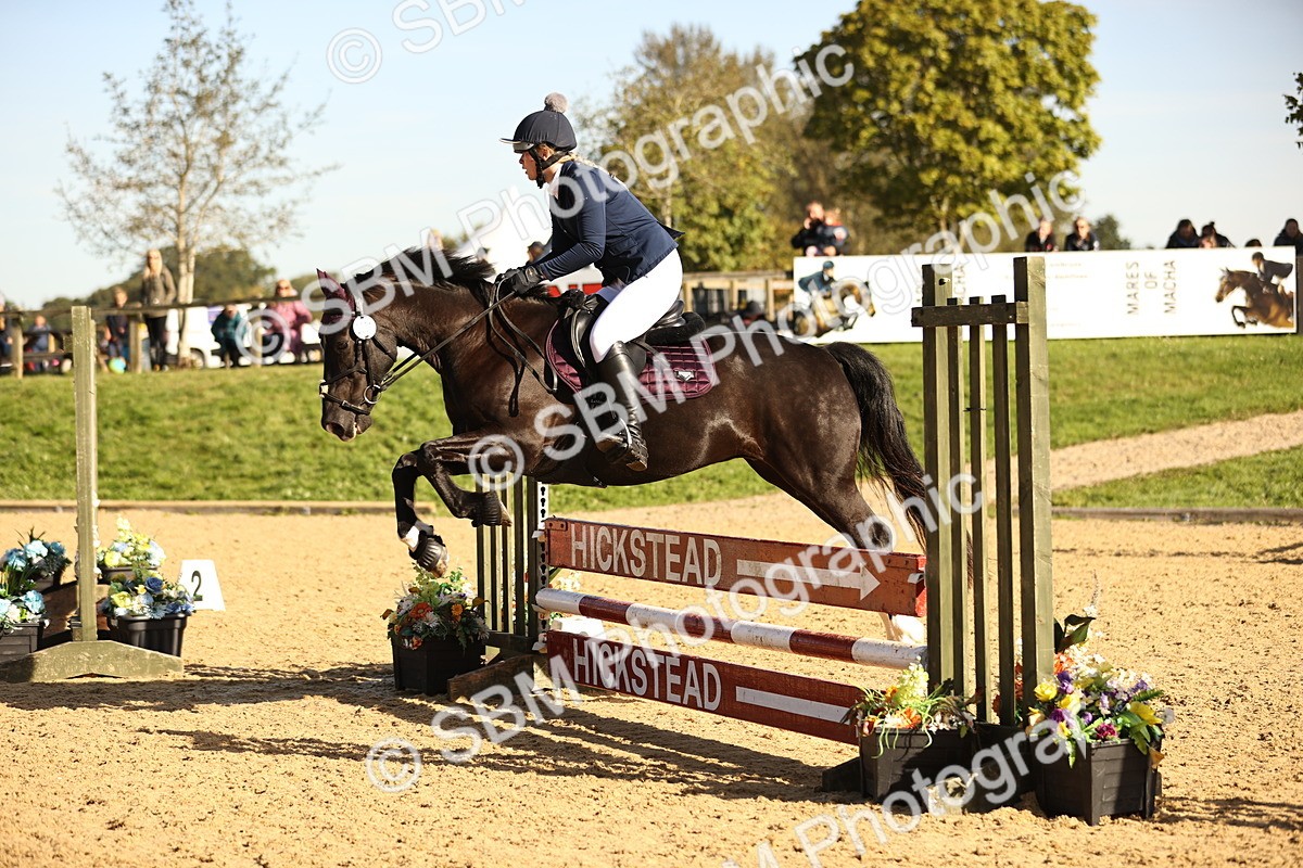 SBM_35128 - J38 - Senior 80cm Championship