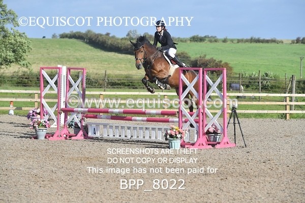 BPP_8022 - CLASS 31 SUN Club/ Unaffiliated 80cms Open