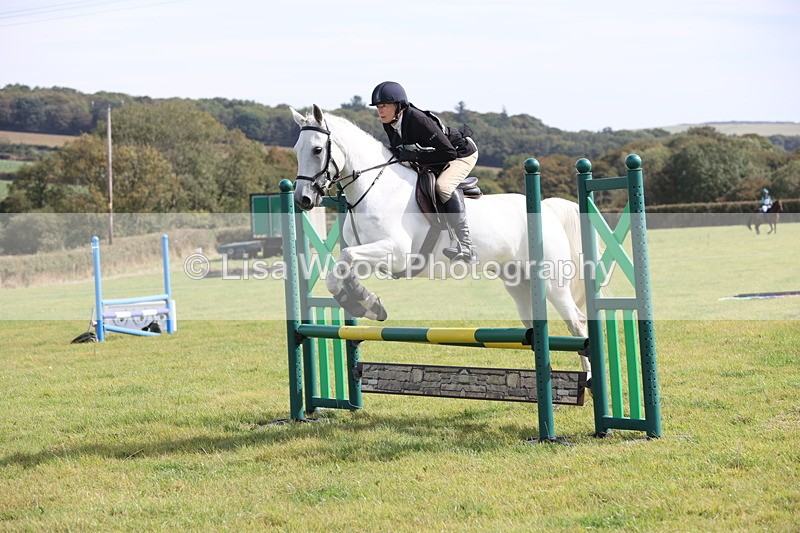 JPP_8583 - Class 2: Trekenning: 80cm Showjumping