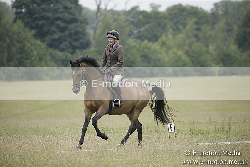 B230619-0625 - Bourne Valley Riding Club Summer Show 23/06/19