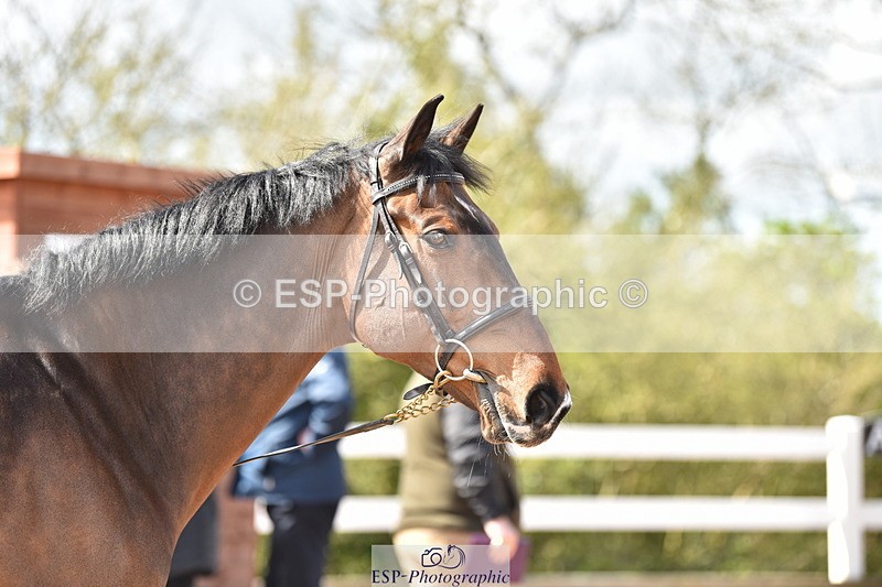 240417A-144020-00605 - 2pm to 3pm