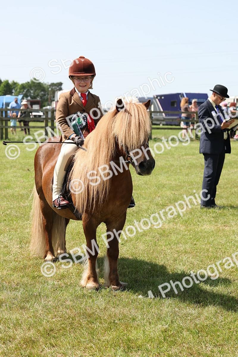 SBM_05359 - Class 24-25 - Mountain & Moorland In Hand Lead Rein and First Ridden