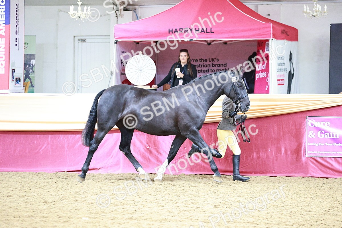 SBM_00150 - Class 1A - Area IH Diamond