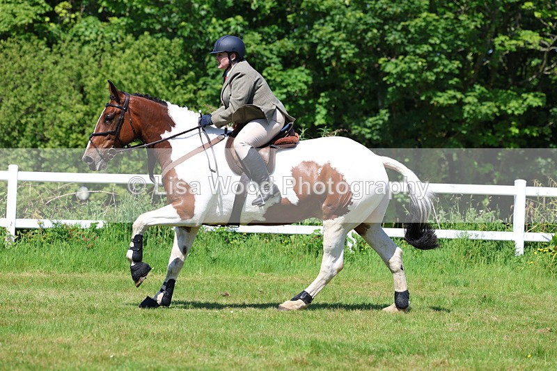 3E7A6892 - Class 30: Novice Working Hunter